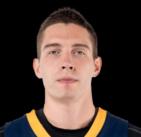 弗拉基米罗维奇